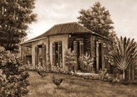 CAS AN TAN LONTAN SEPIA