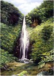 CHUTE DU CARBET
