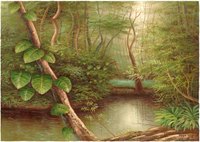 MANGROVE