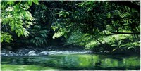 RIVIERE TROPICALE PANORAMIQUE