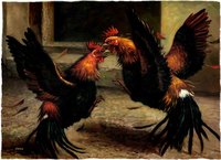 PITT &agrave; COQ
