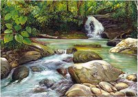 CASCADE TROPICALE
