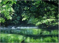 RIVIERE TROPICALE