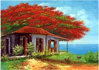 CASE FLAMBOYANT