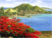 FLAMBOYANT aux SAINTES