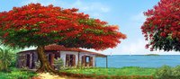 CASE FLAMBOYANT PANORAMIQUE